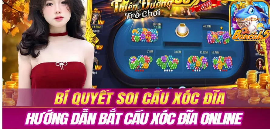 Những Lưu Ý Khi Chơi Xóc Đĩa Online Uy Tín Tại Cổng Game Bancah5